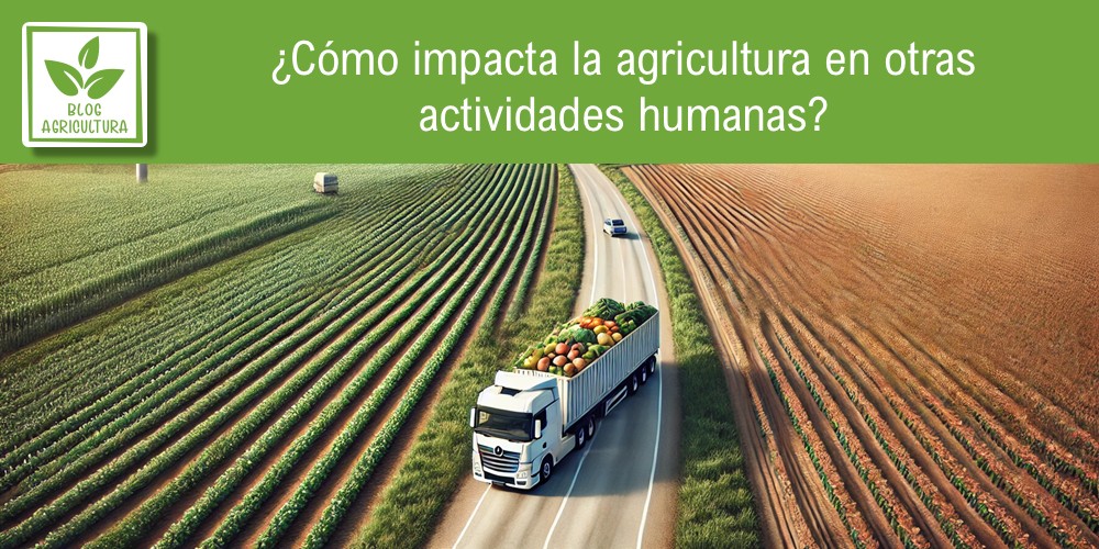 ¿Cómo impacta la agricultura en otras actividades humanas?