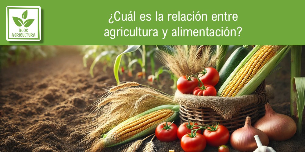 ¿Cuál es la relación entre agricultura y alimentación?