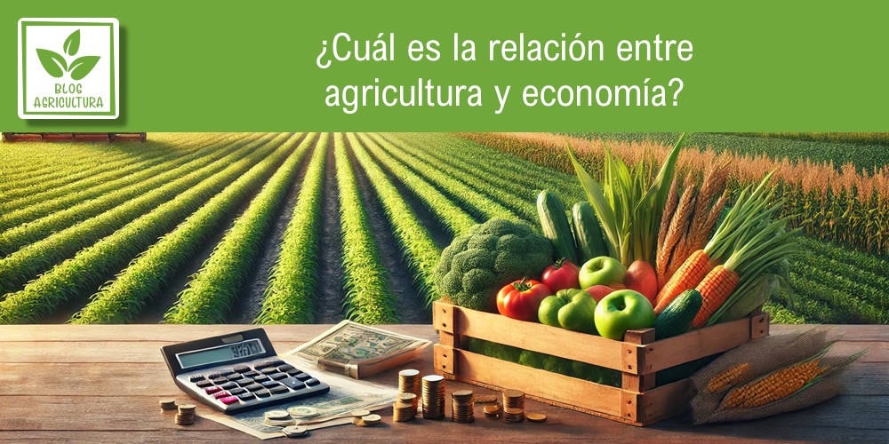 Hablamos sobre la relación entre agricultura y economía