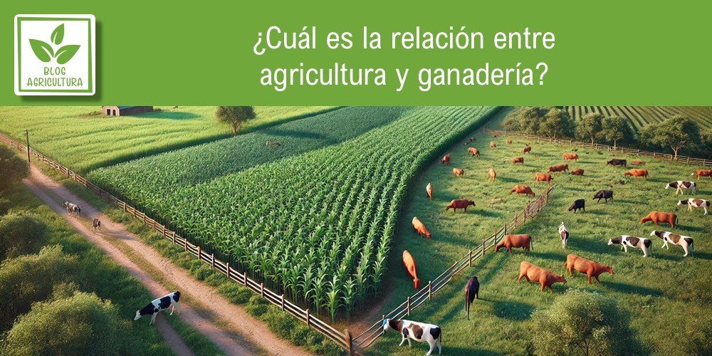¿Cuál es la relación entre agricultura y ganadería?