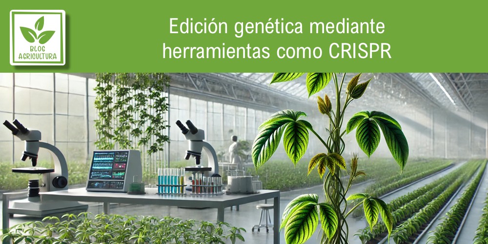 Edición genética mediante herramientas como CRISPR