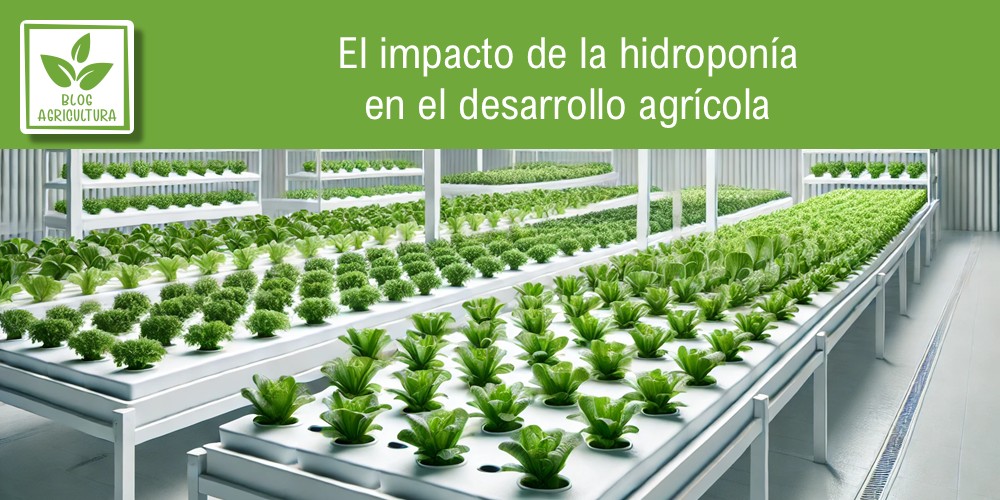 El impacto de la hidroponía en el desarrollo agrícola