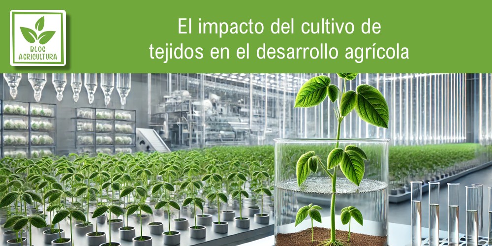 El impacto del cultivo de tejidos en el desarrollo agrícola