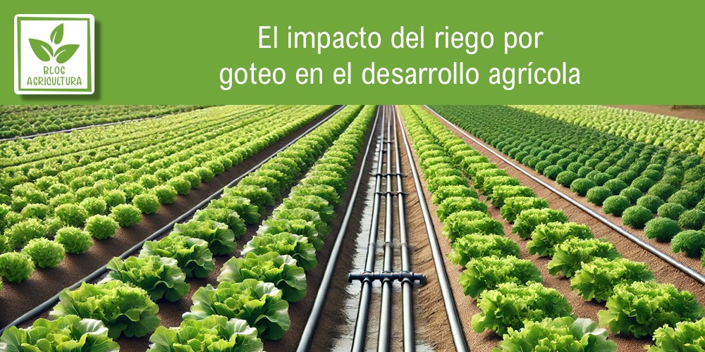Explicación del impacto en la agricultura del riego por goteo