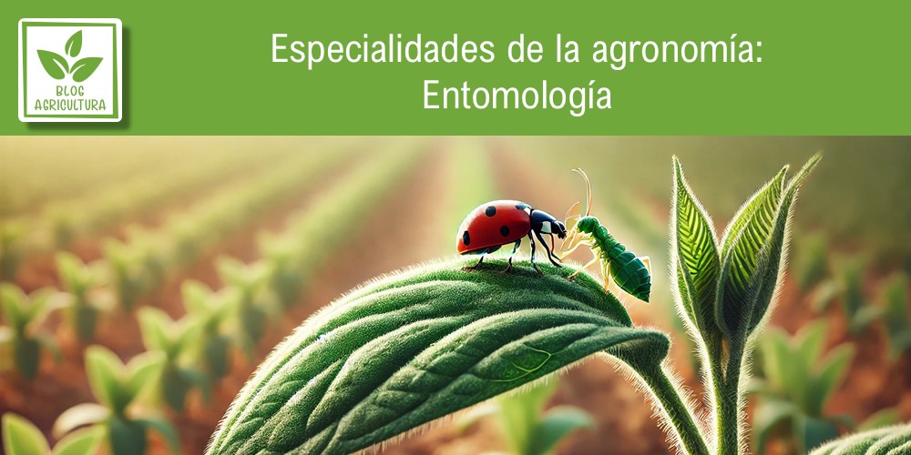 Información sobre entomología como rama de la agronomía