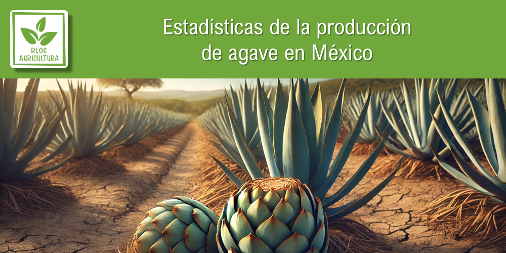 Estadísticas de producción de agave en México