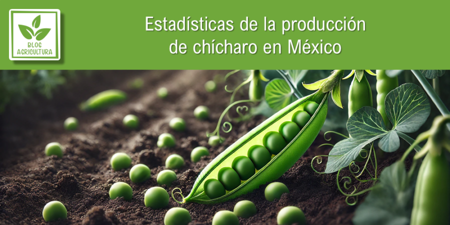 Estadísticas de producción de chícharo en México