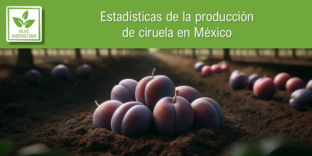 Estadísticas de producción de ciruela en México
