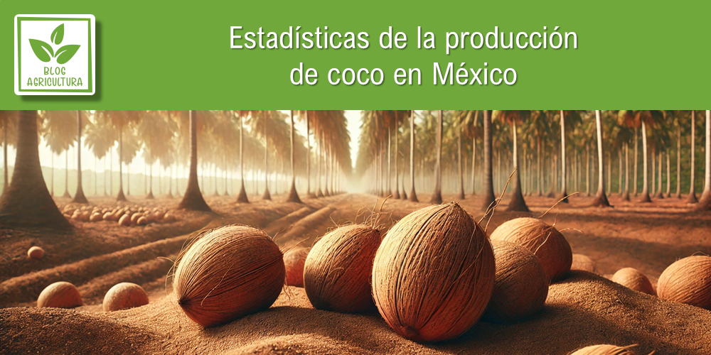 Estadísticas de producción de coco en México