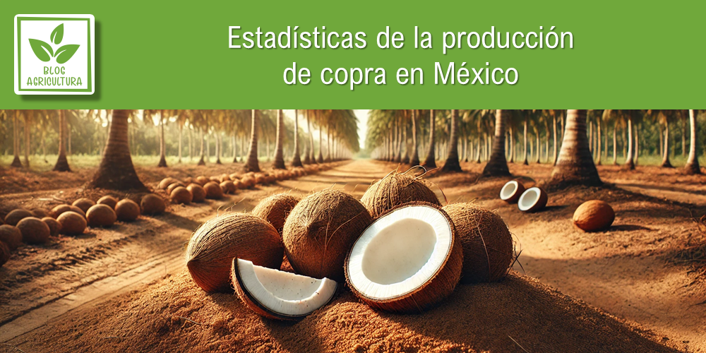 Estadísticas de producción de copra en México