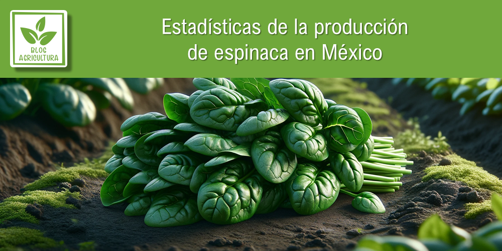 Estadísticas de producción de espinaca en México
