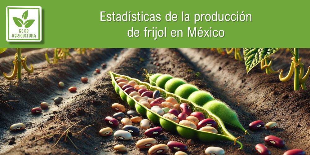 Estadísticas de producción de frijol en México