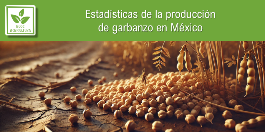 Estadísticas de producción de garbanzo en México