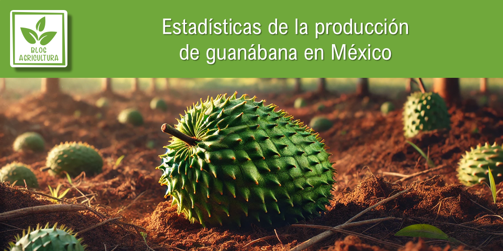 Conoce los principales datos de la producción de guanábana en México