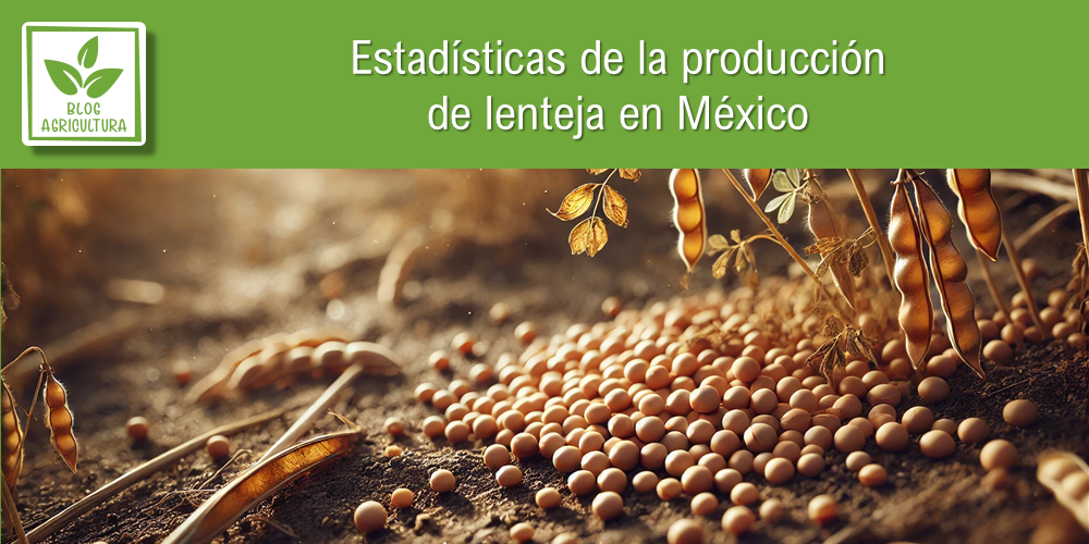 Estadísticas de producción de lenteja en México