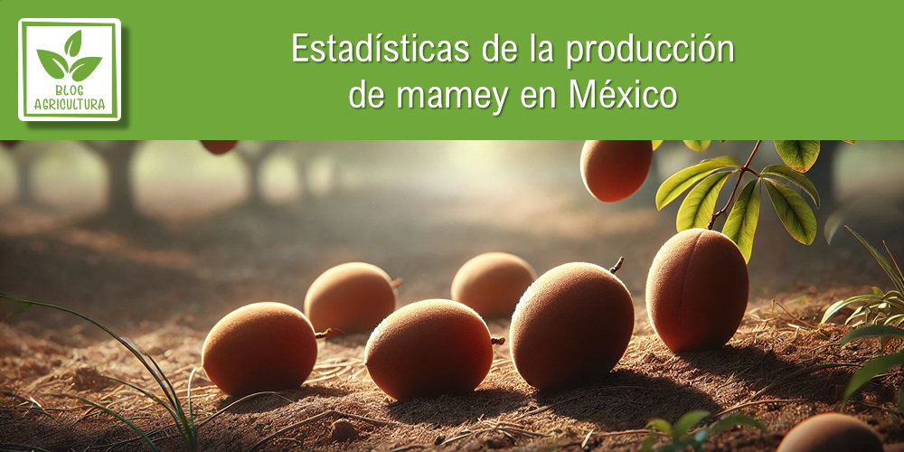 Estadísticas de producción de mamey en México
