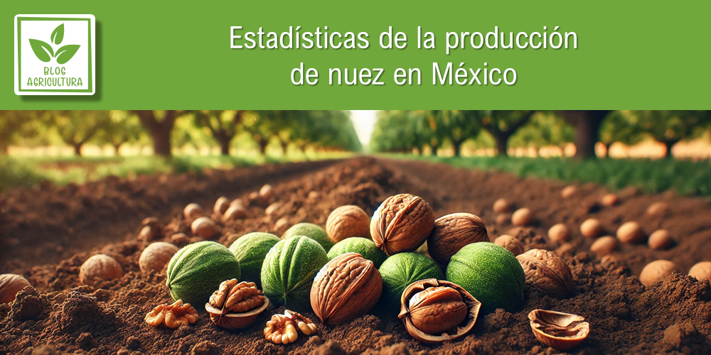 Estadísticas de producción de nuez en México