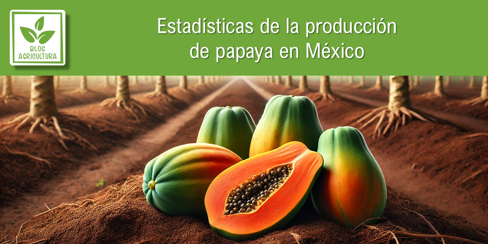Conoce los principales datos de la producción de papaya en México