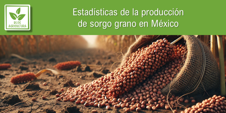Estadísticas de producción de sorgo grano en México