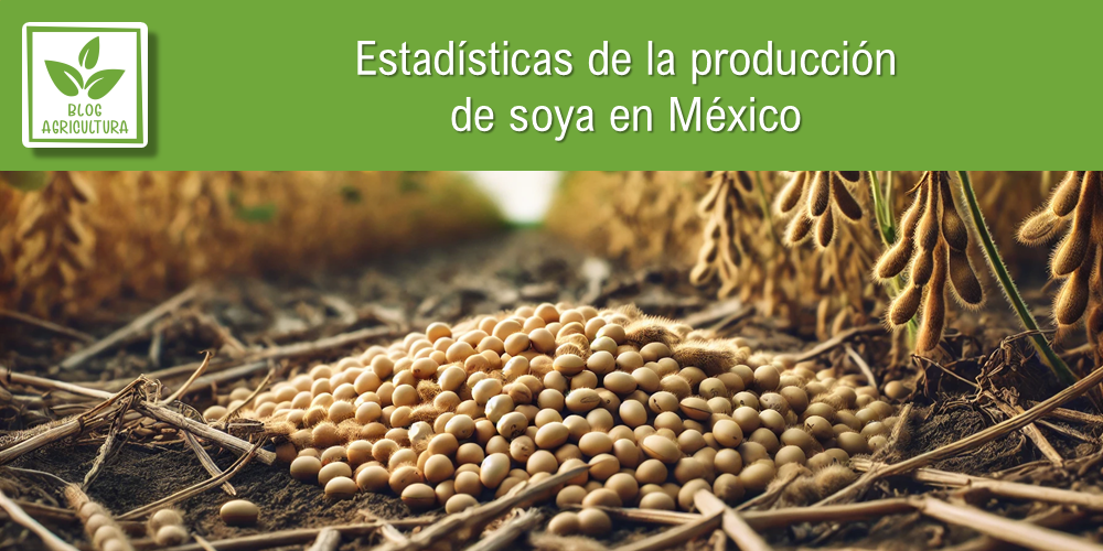 Estadísticas de producción de soya en México