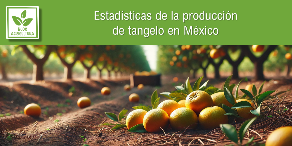 Estadísticas de producción de tangelo en México
