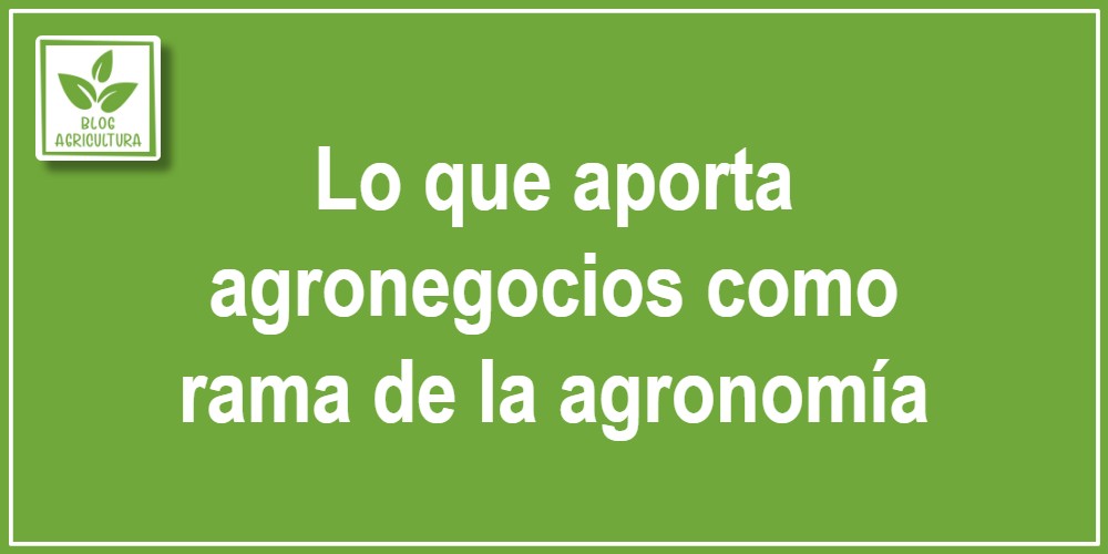 Lo que aporta agronegocios como rama de la agronomía