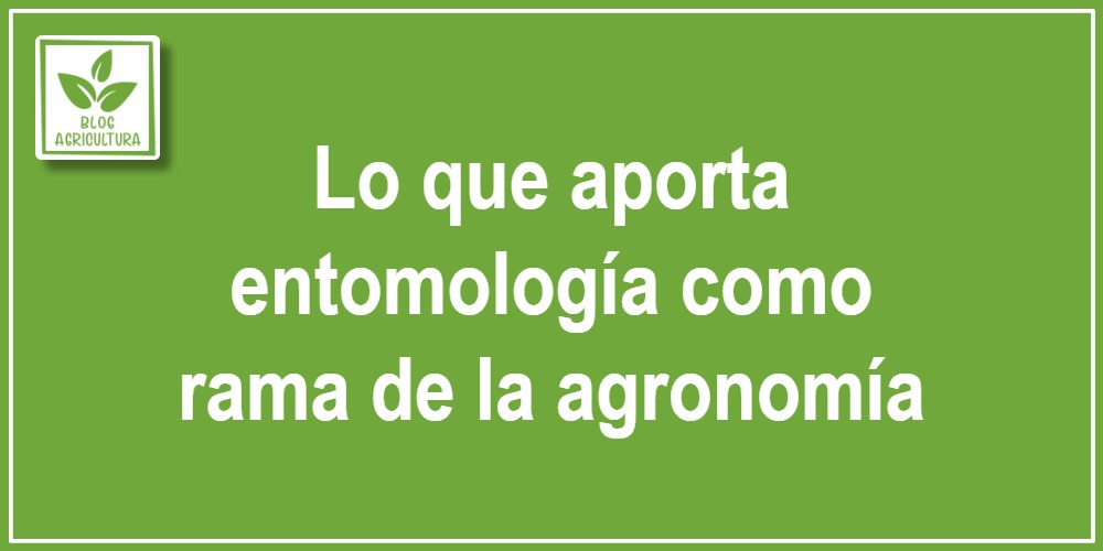 Lo que aporta entomología como rama de la agronomía