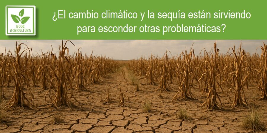 ¿El cambio climático y la sequía están sirviendo para esconder otras problemáticas?
