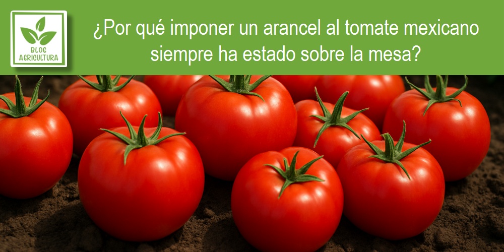 ara el tomate... no son los precios, son los votos.