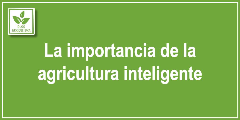 La importancia de la agricultura inteligente