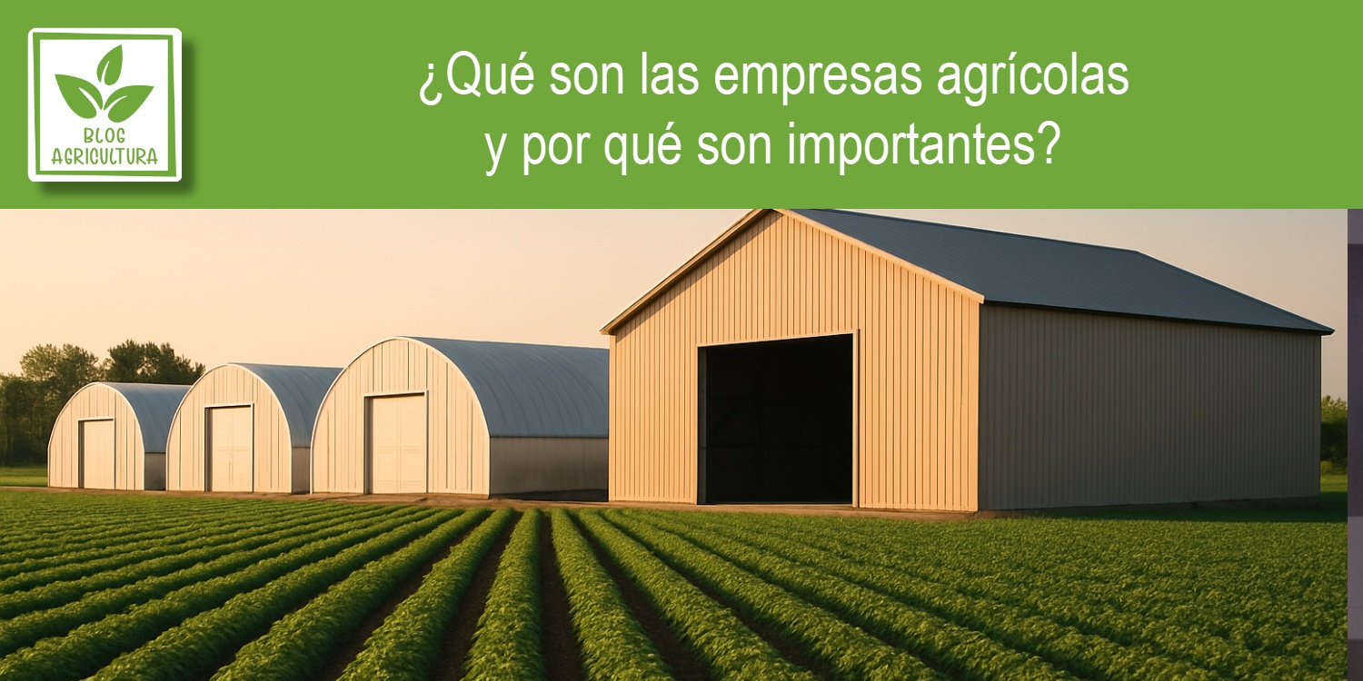 La importancia de las empresas agrícolas