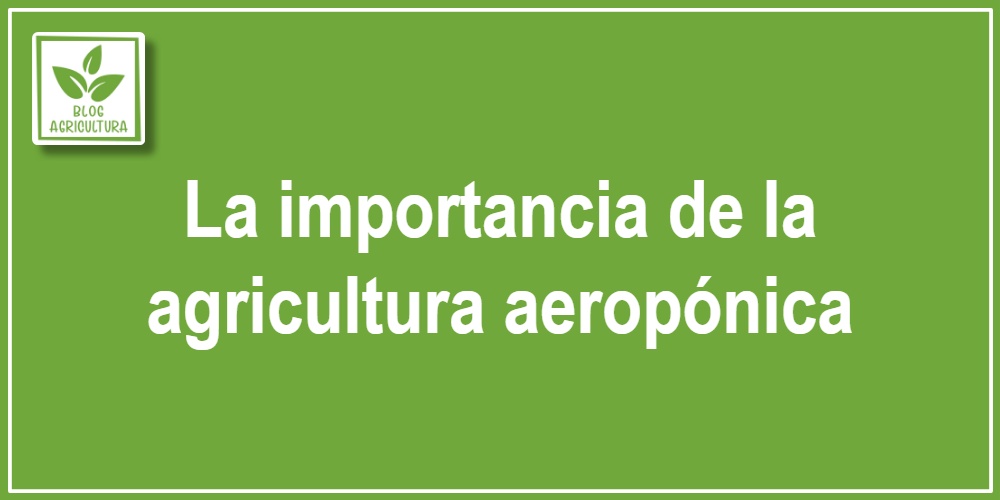 La importancia de la agricultura aeropónica