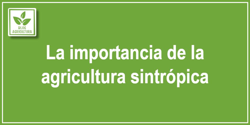 La importancia de la agricultura sintrópica