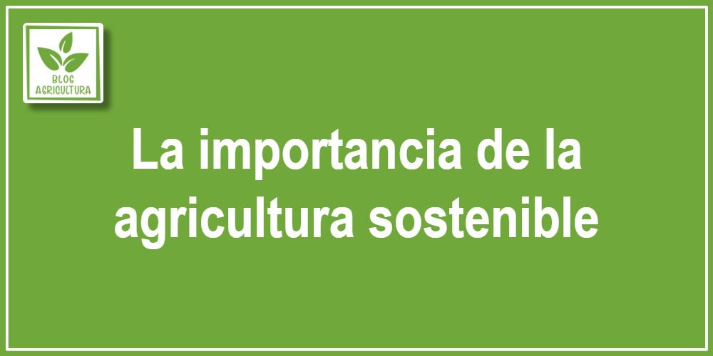 La importancia de la agricultura sostenible