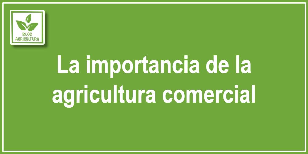 La importancia de la agricultura comercial
