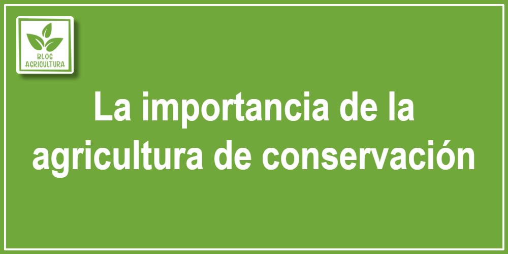 La importancia de la agricultura de conservación