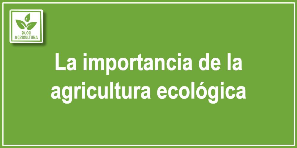La importancia de la agricultura ecológica