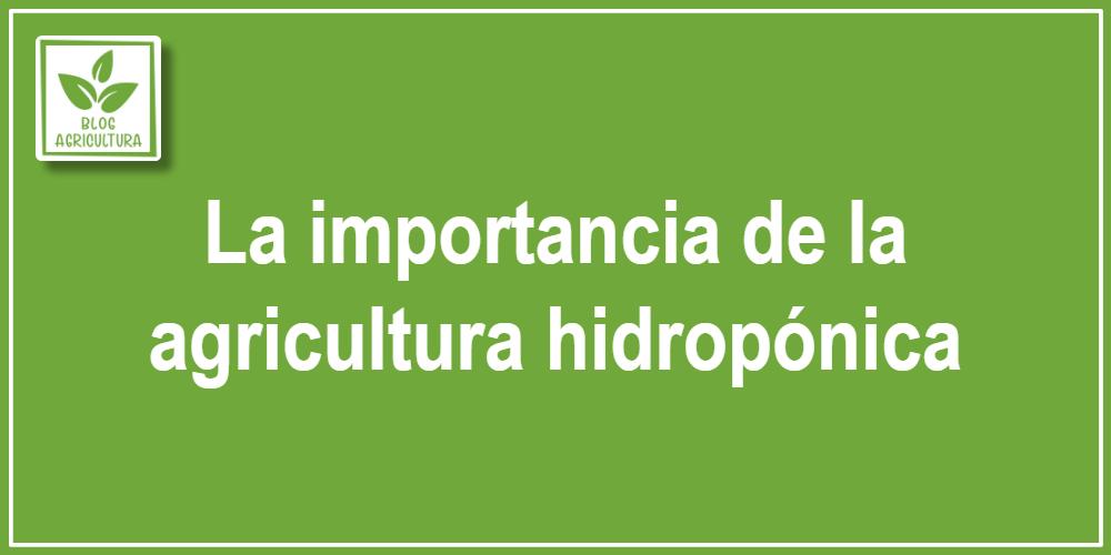 La importancia de la agricultura hidropónica