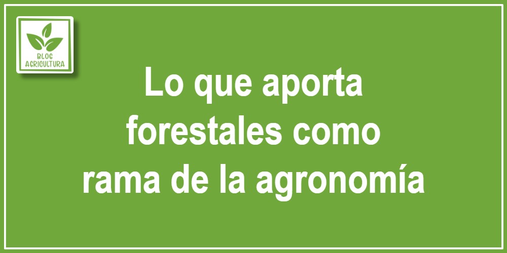 Lo que aporta forestales como rama de la agronomía