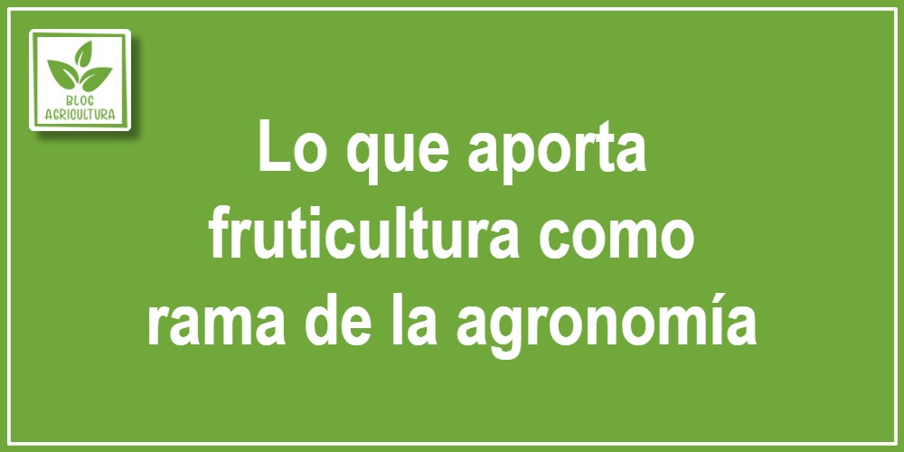 Lo que aporta fruticultura como rama de la agronomía