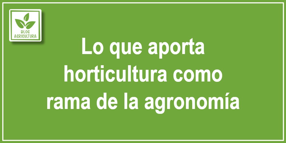 Lo que aporta horticultura como rama de la agronomía