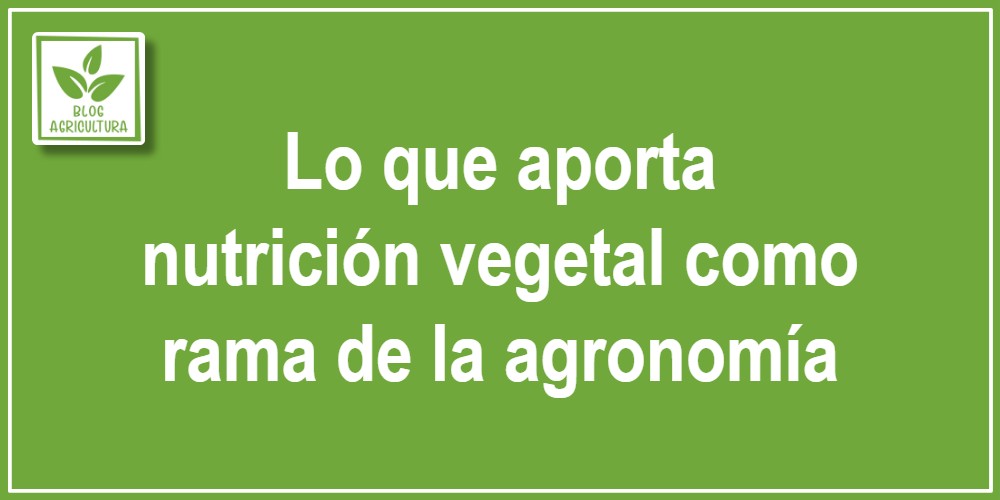 Lo que aporta nutrición vegetal como rama de la agronomía