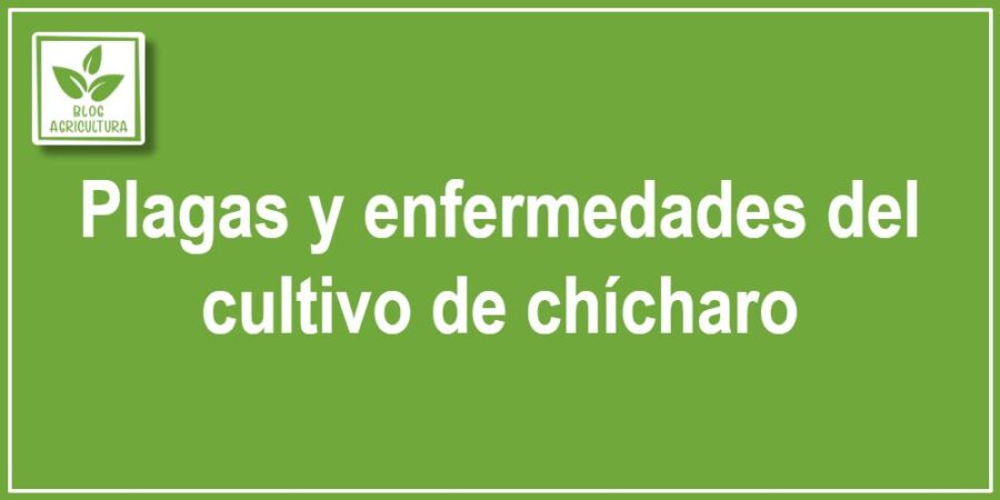 Plagas y enfermedades del cultivo de chícharo