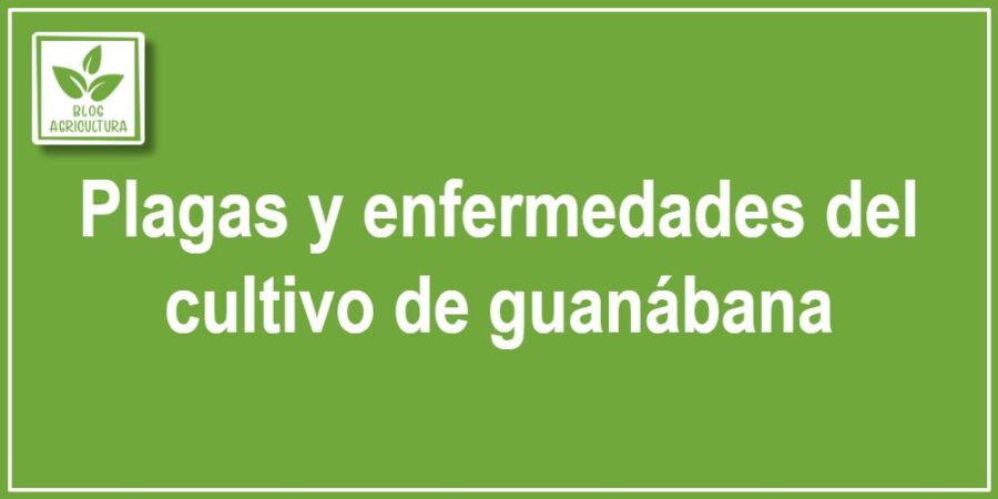 Plagas y enfermedades del cultivo de guanábana