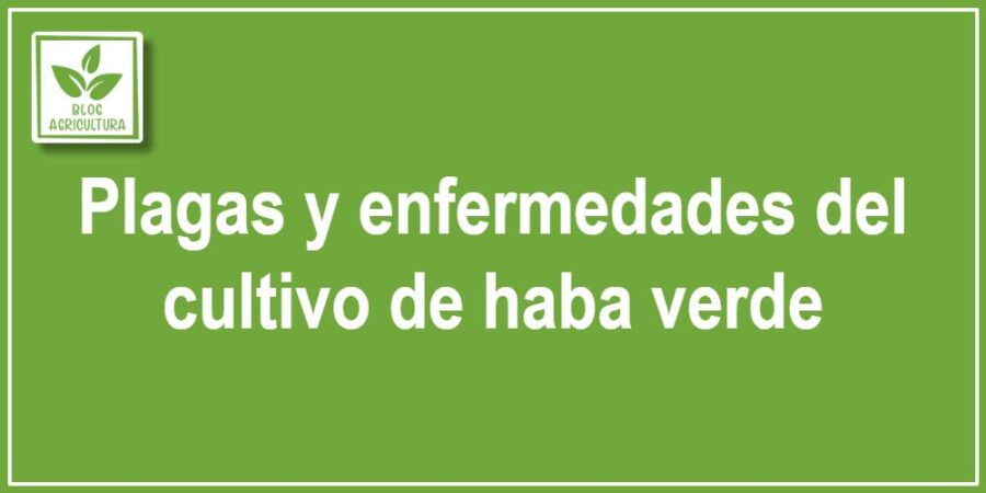 Plagas y enfermedades del cultivo de haba verde