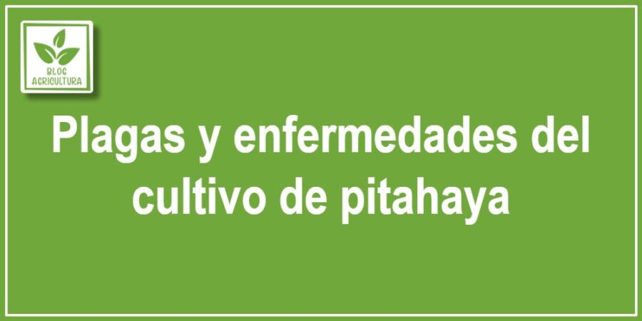 Plagas y enfermedades del cultivo de pitahaya