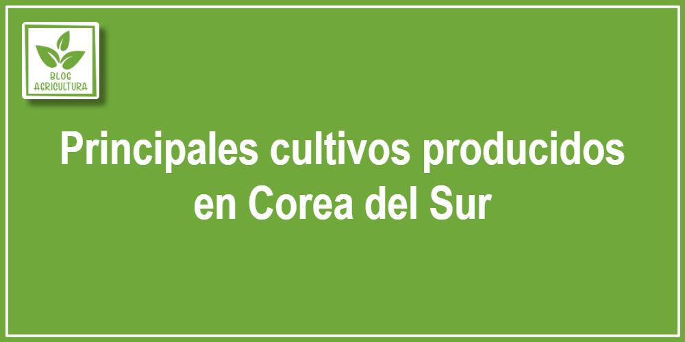 Principales cultivos producidos en Corea del Sur