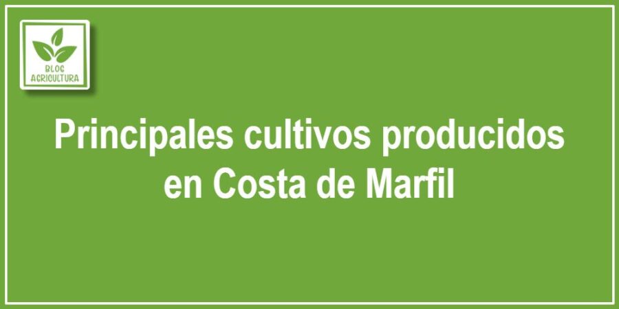 Principales cultivos producidos en Costa de Marfil