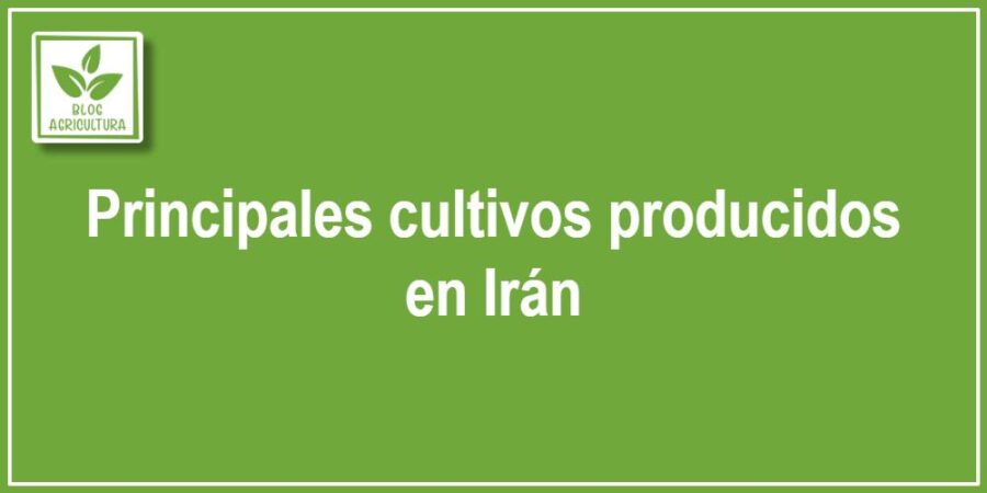 Principales cultivos producidos en Irán