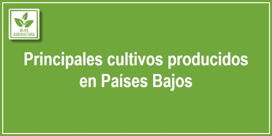 Principales cultivos producidos en Países Bajos